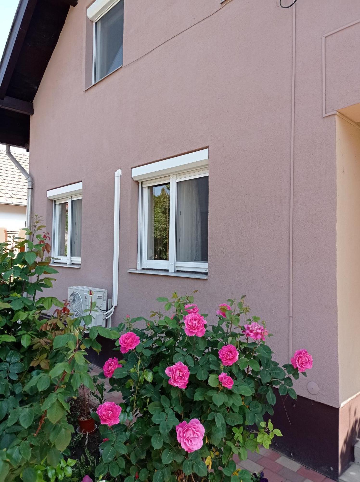 Hotel Partifecske Vendeghaz Tiszafüred Exteriér fotografie